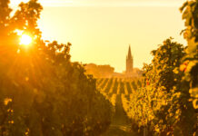 When is the Best Time to Travel to Bordeaux? Bordeaux travel