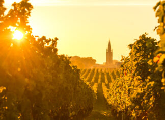 When is the Best Time to Travel to Bordeaux? Bordeaux travel